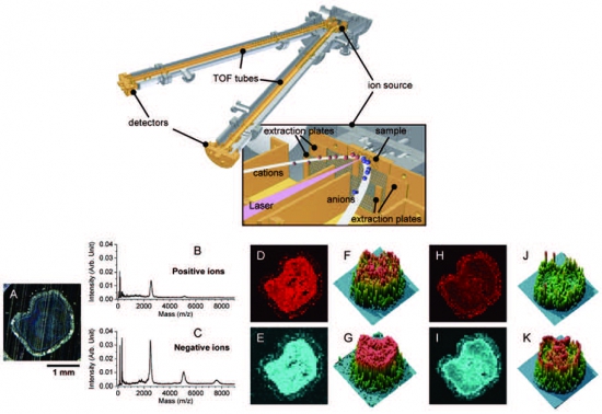 Dual-polarity imaging_mass