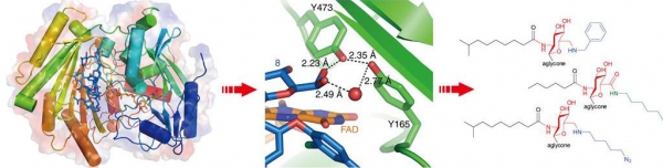 Li-TL-Research highlight