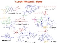 Current Research Targe