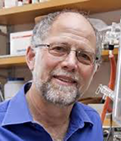 2017SAB stephen