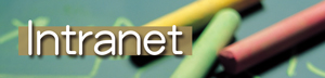 Intranet Icon e