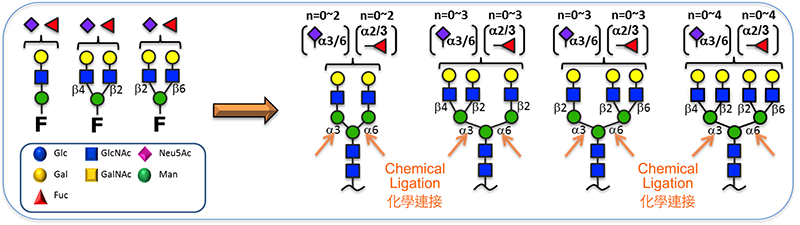2016GlycanF3