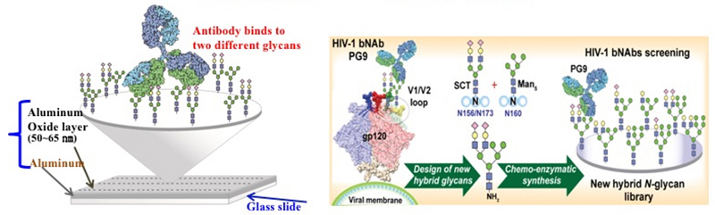 2018HIV vaccine development Figure1