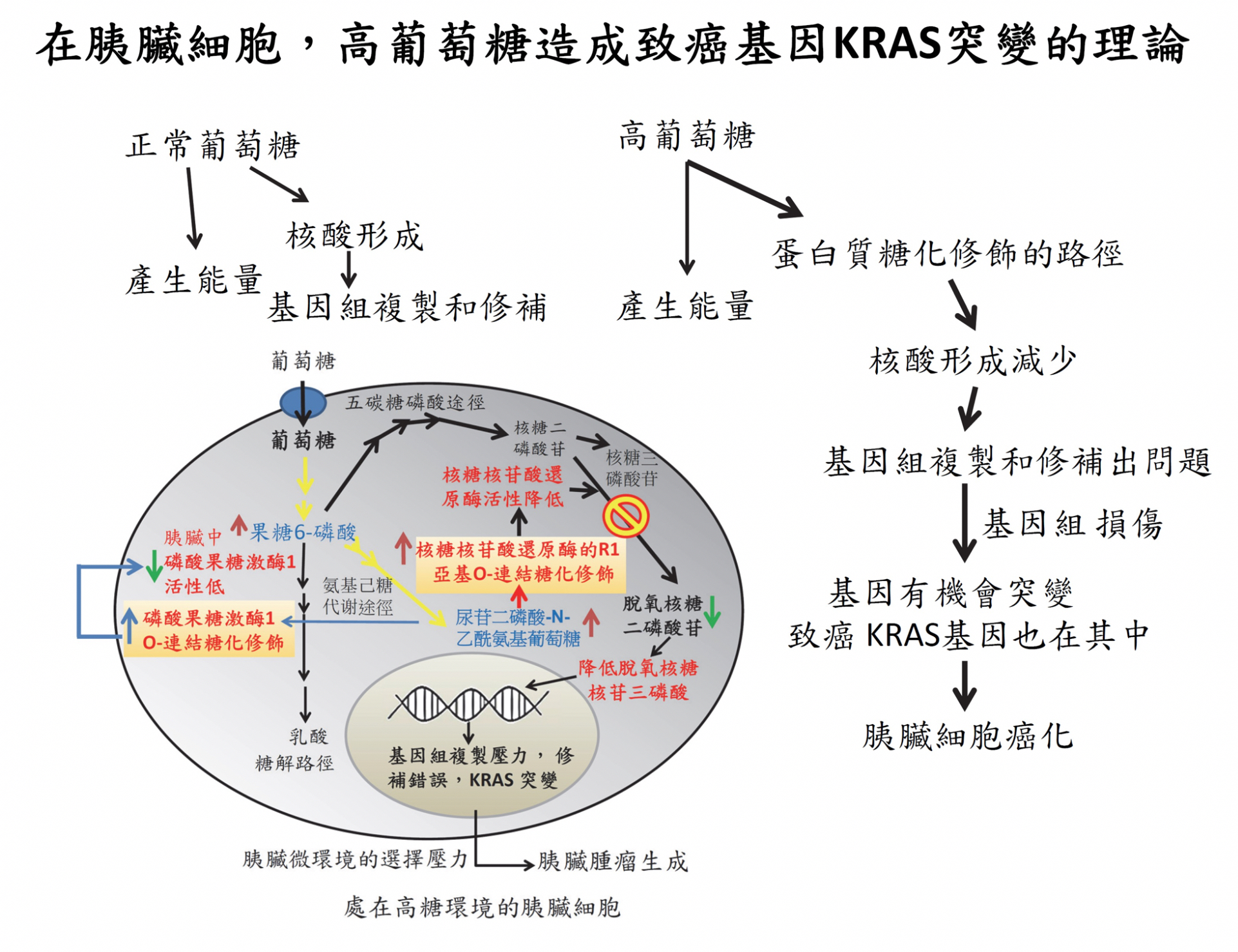 2019KRAS-Fg1-CH