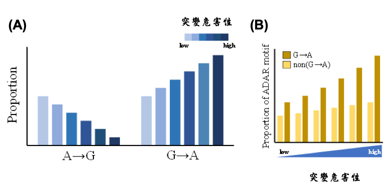 2019RNA Editing Figure A B CH