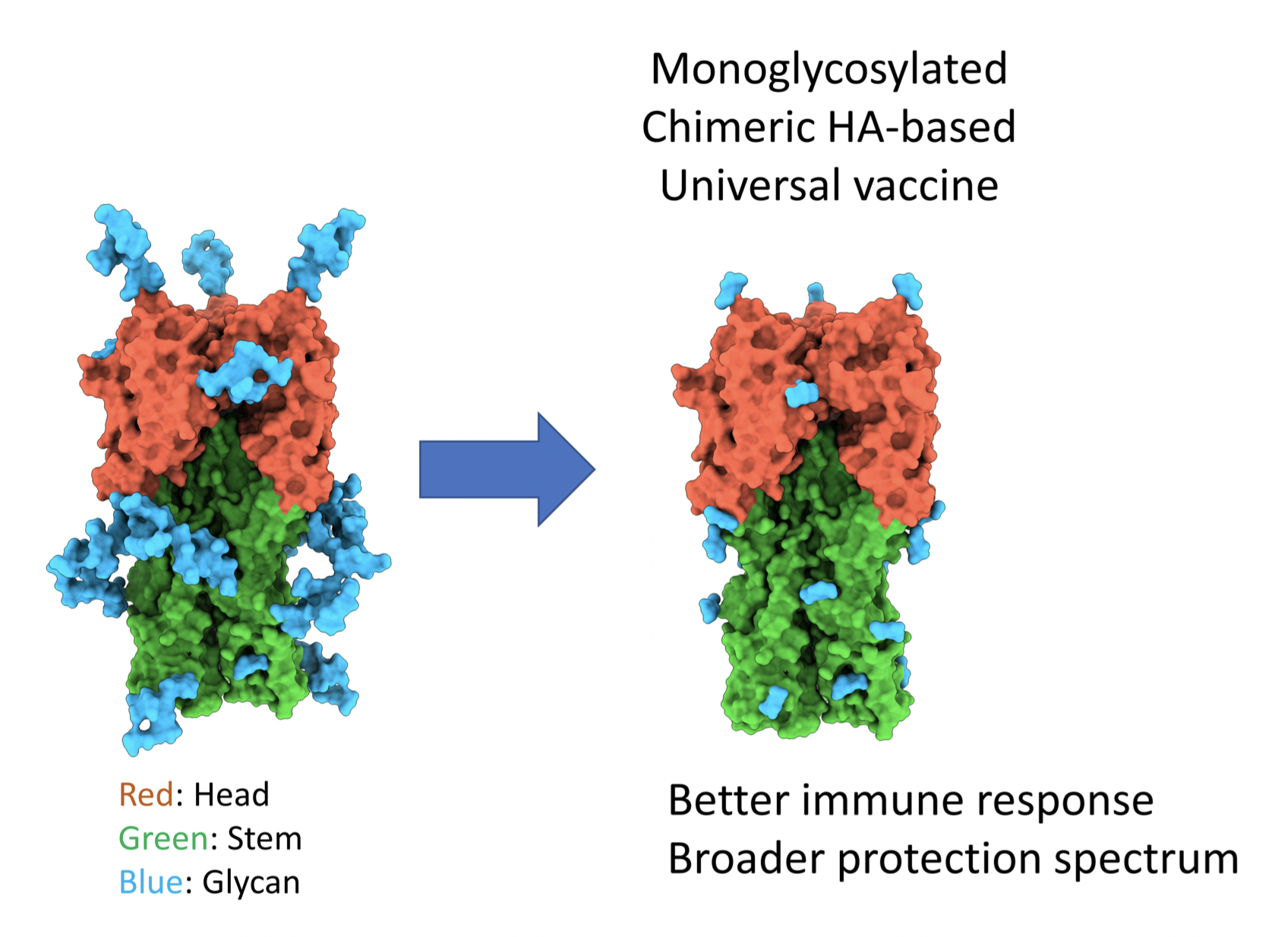 2020Flu Vaccine EN