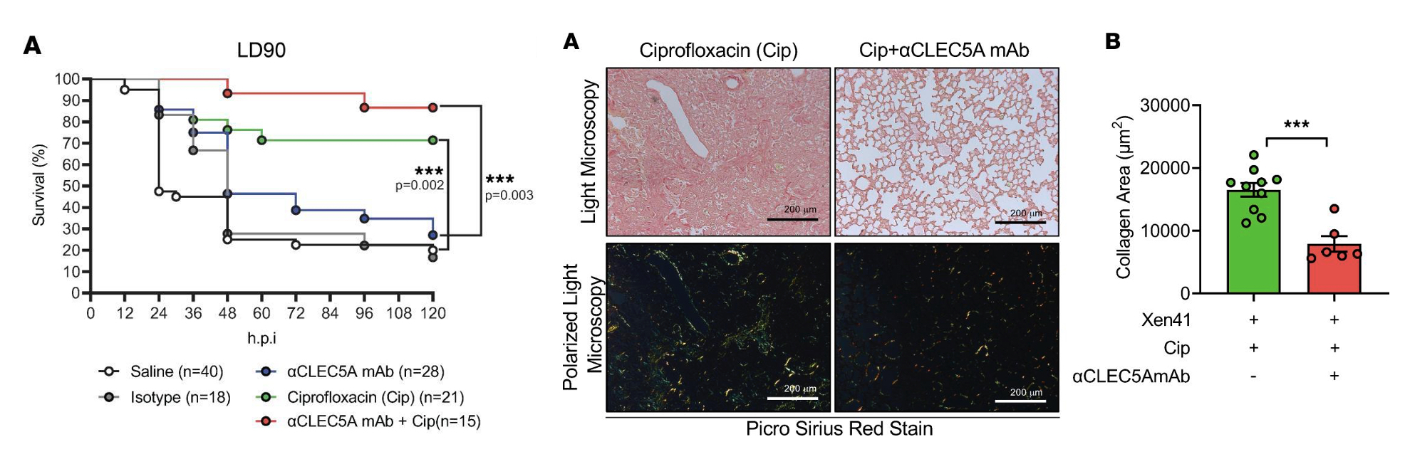 2022CLEC5A Pseudomonas F3