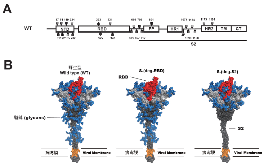 2022 RNA vaccine F1