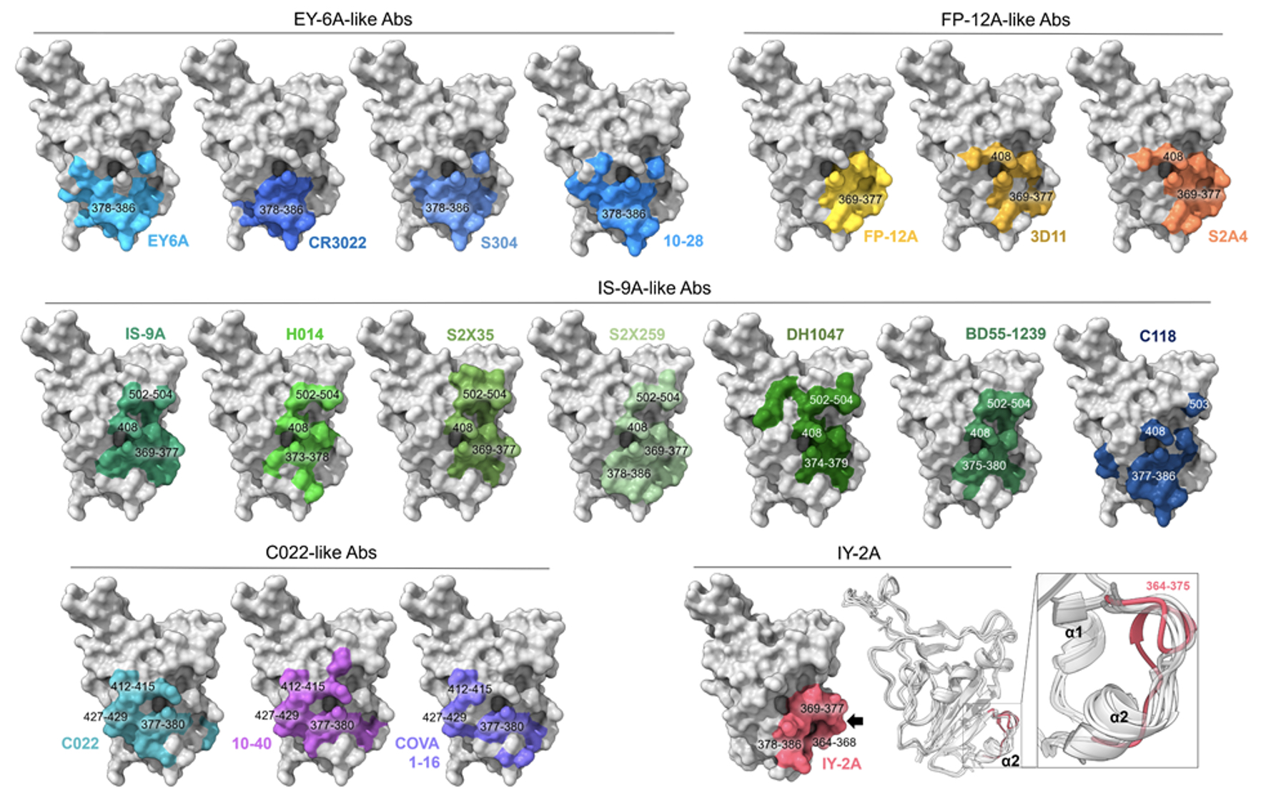 2023Structural basis F2