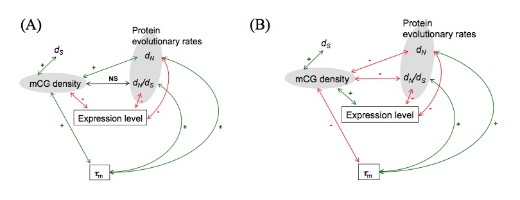 2013DNA methylation_pic