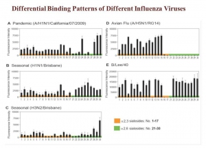 DifferentialBindingPatterns_e