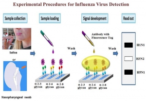 ExperimentalProcedures_e