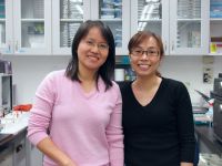 Dr. Bi Hui Liang(left) & Dr. Sherry Hsu(right)