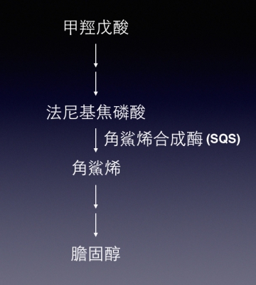 Simplified pathway_ch