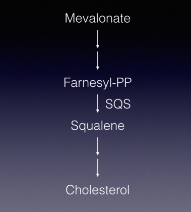 Simplified pathway_en