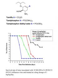 TamiphosphorDiagram