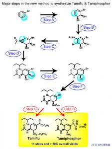 Major steps in the new method to synthesize Tamiflu & Tamiphosphor