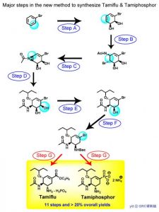 major-steps_2