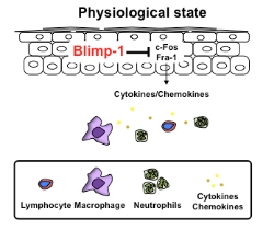 physiological-state