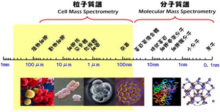 scale_diagram_ch