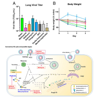 Identification of existing pharmaceuticals and herbal medicines as inhibitors of SARS-CoV-2 infection