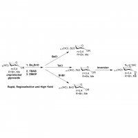 Effective Organotin-Mediated Regioselective Functionalization of Unprotected Carbohydrates