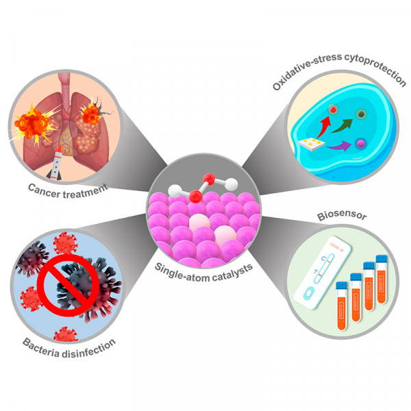 Tunable single-atom nanozyme catalytic system for biological applications of therapy and diagnosis