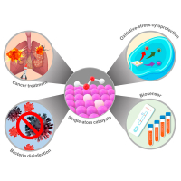 Tunable single-atom nanozyme catalytic system for biological applications of therapy and diagnosis