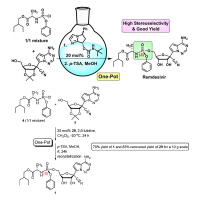 Practical Remdesivir Synthesis through One-Pot Organo-Catalyzed Asymmetric (S)-P-Phosphoramidation