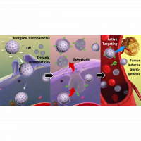 Integrated therapy platform of exosomal system: hybrid inorganic/organic nanoparticles with exosomes for cancer treatment