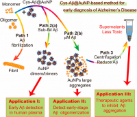 Detection of Femtomolar Amyloid-β Peptides for Early-Stage Identification of Alzheimer’s Amyloid-β Aggregation with Functionalized Gold Nanoparticles