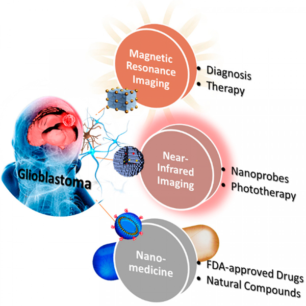 Progress and Viewpoints of Multifunctional Composite Nanomaterials for Glioblastoma Theranostics