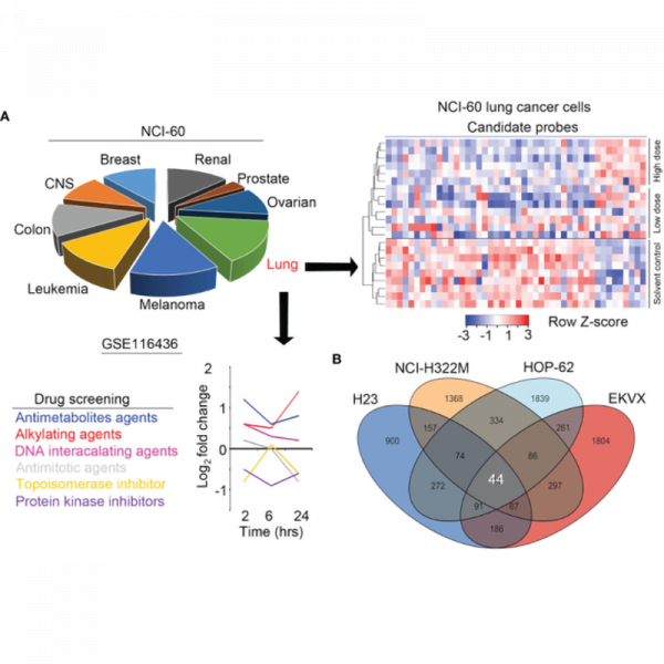 Aldolase A and Phospholipase D1 Synergistically Resist Alkylating Agents and Radiation in Lung Cancer