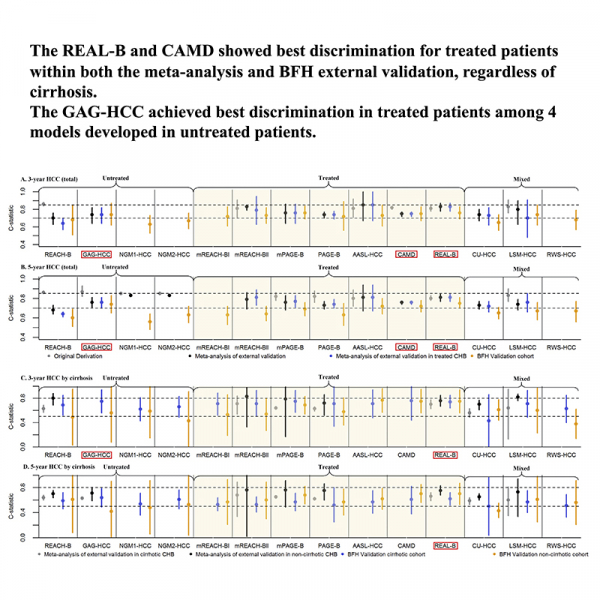 Hepatocellular Carcinoma Prediction Models in Chronic Hepatitis B: A Systematic Review of 14 Models and External Validation