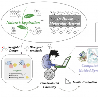 Harnessing natural-product-inspired combinatorial chemistry and computation-guided synthesis to develop N-glycan modulators as anticancer agents