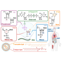 Chemically Modified Platforms for Better RNA Therapeutics