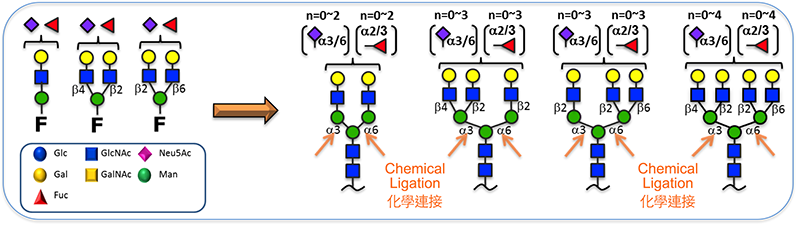 2016GlycanF3 2016GlycanF3