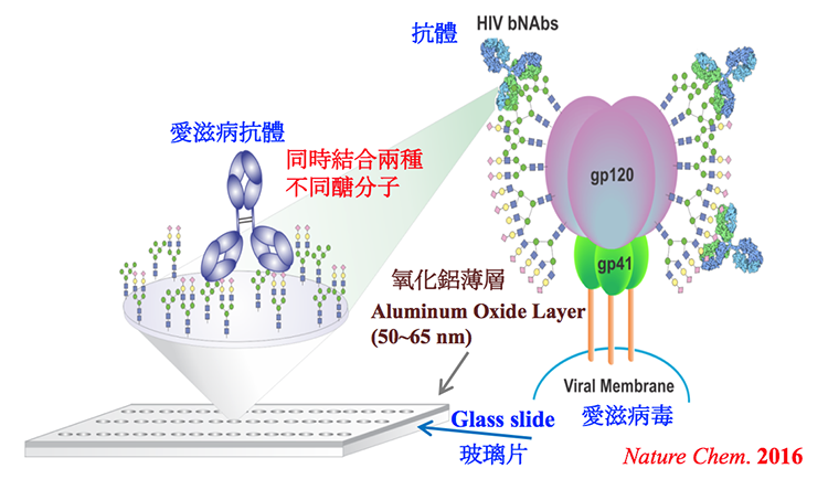 2016GlycanF2 2016GlycanF2