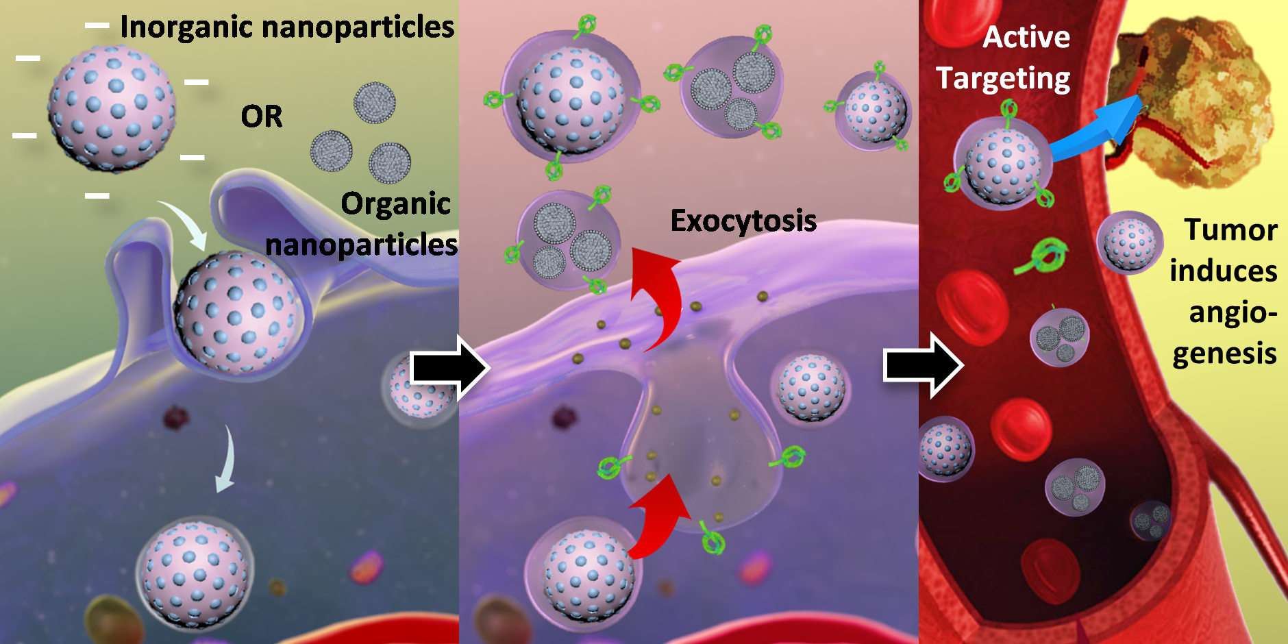 Integrated therapy platform of exosomal system: hybrid inorganic/organic nanoparticles with exosomes for cancer treatment
