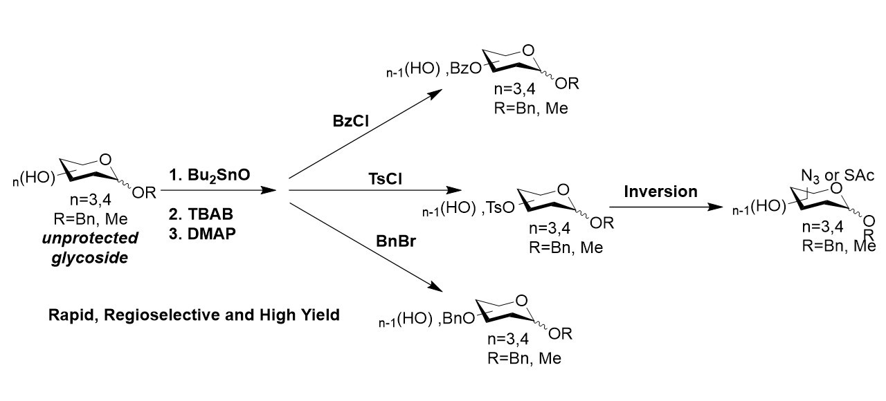 Effective Organotin-Mediated Regioselective Functionalization of Unprotected Carbohydrates