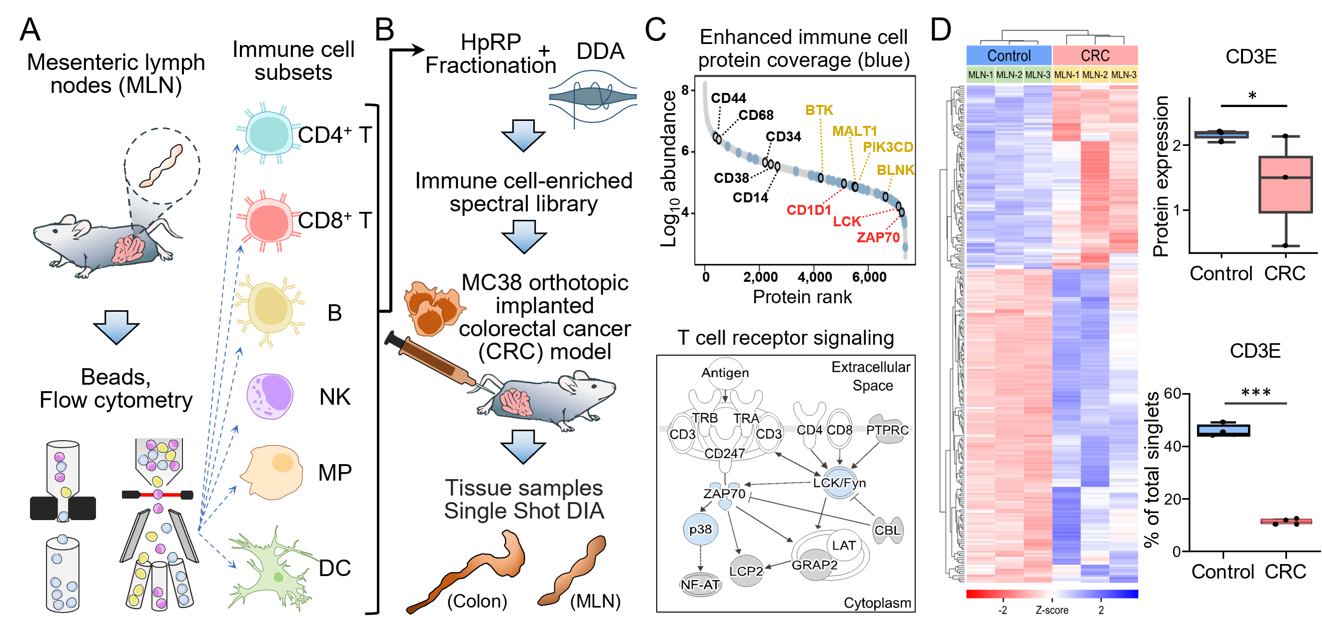 Enhanced Proteomic Coverage in Tissue Microenvironment by Immune Cell Subtype Library-assisted DIA-MS Enhanced Proteomic Coverage in Tissue Microenvironment by Immune Cell Subtype Library-assisted DIA-MS