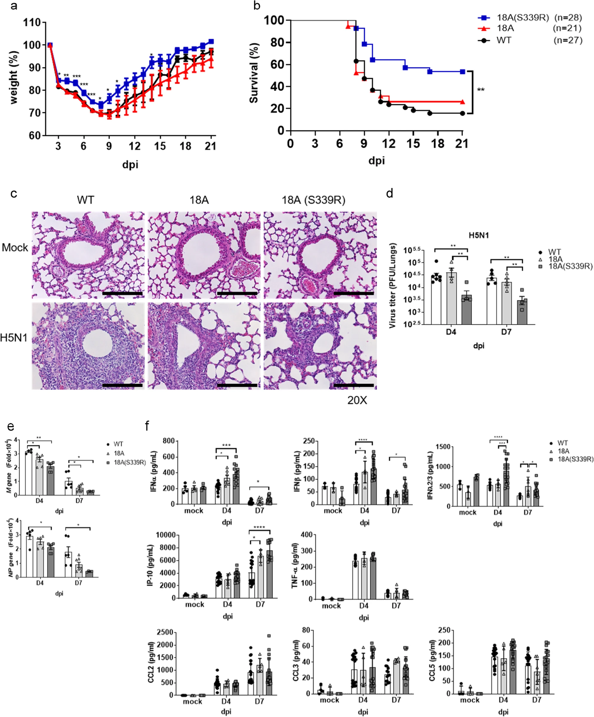 Endosomal TLR3 co-receptor CLEC18A enhances host immune response to viral infection