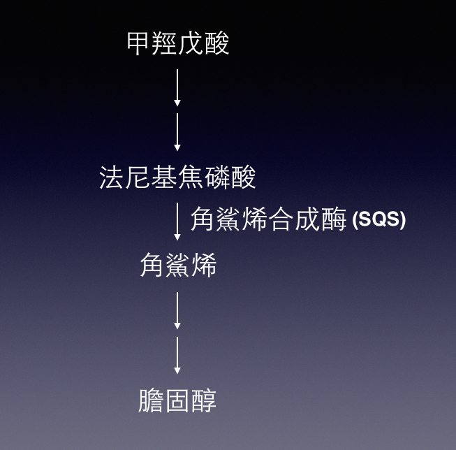 Simplified pathway: squalene synthase (SQS) converts two molecules of farnesyl pyrophosphate (Farnesyl-PP) into squalene. Simplified pathway: squalene synthase (SQS) converts two molecules of farnesyl pyrophosphate (Farnesyl-PP) into squalene.