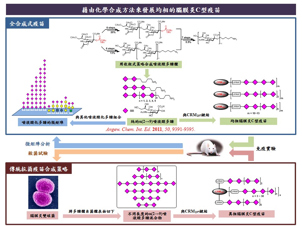 這是一張圖片