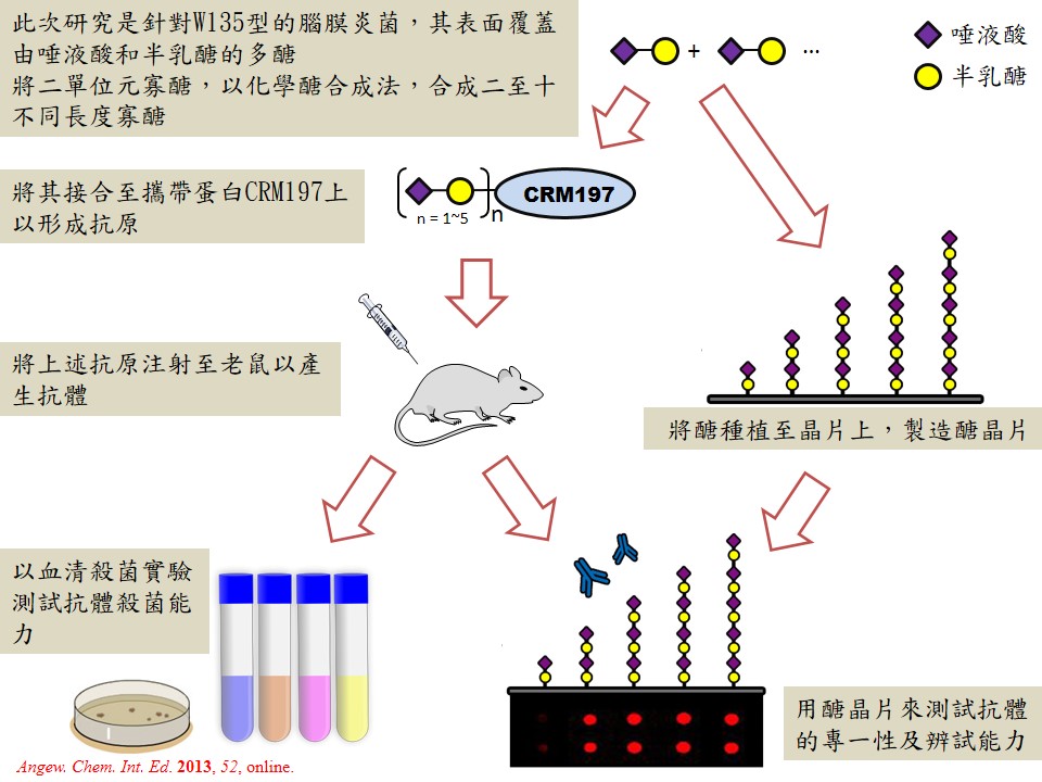 這是一張圖片