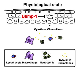 physiological state