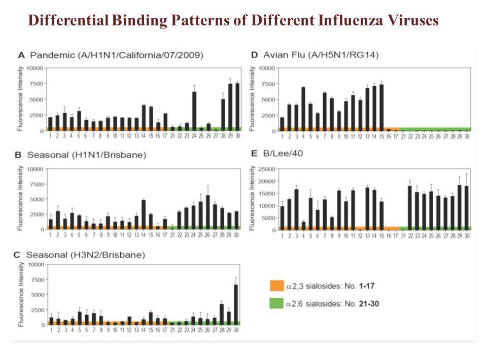 DifferentialBindingPatterns_ch