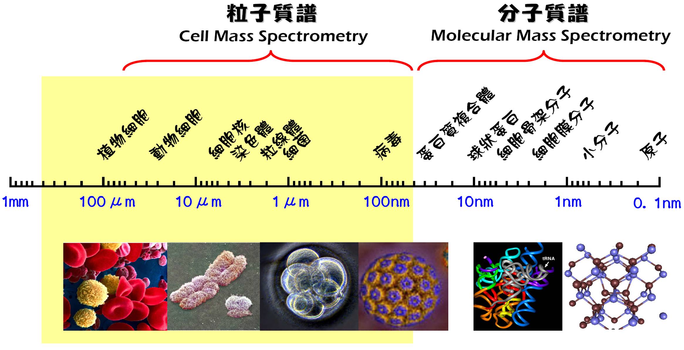 scale_diagram_ch