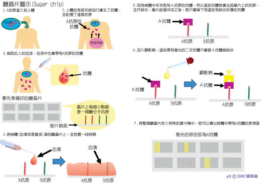 醣晶片圖示 醣晶片圖示