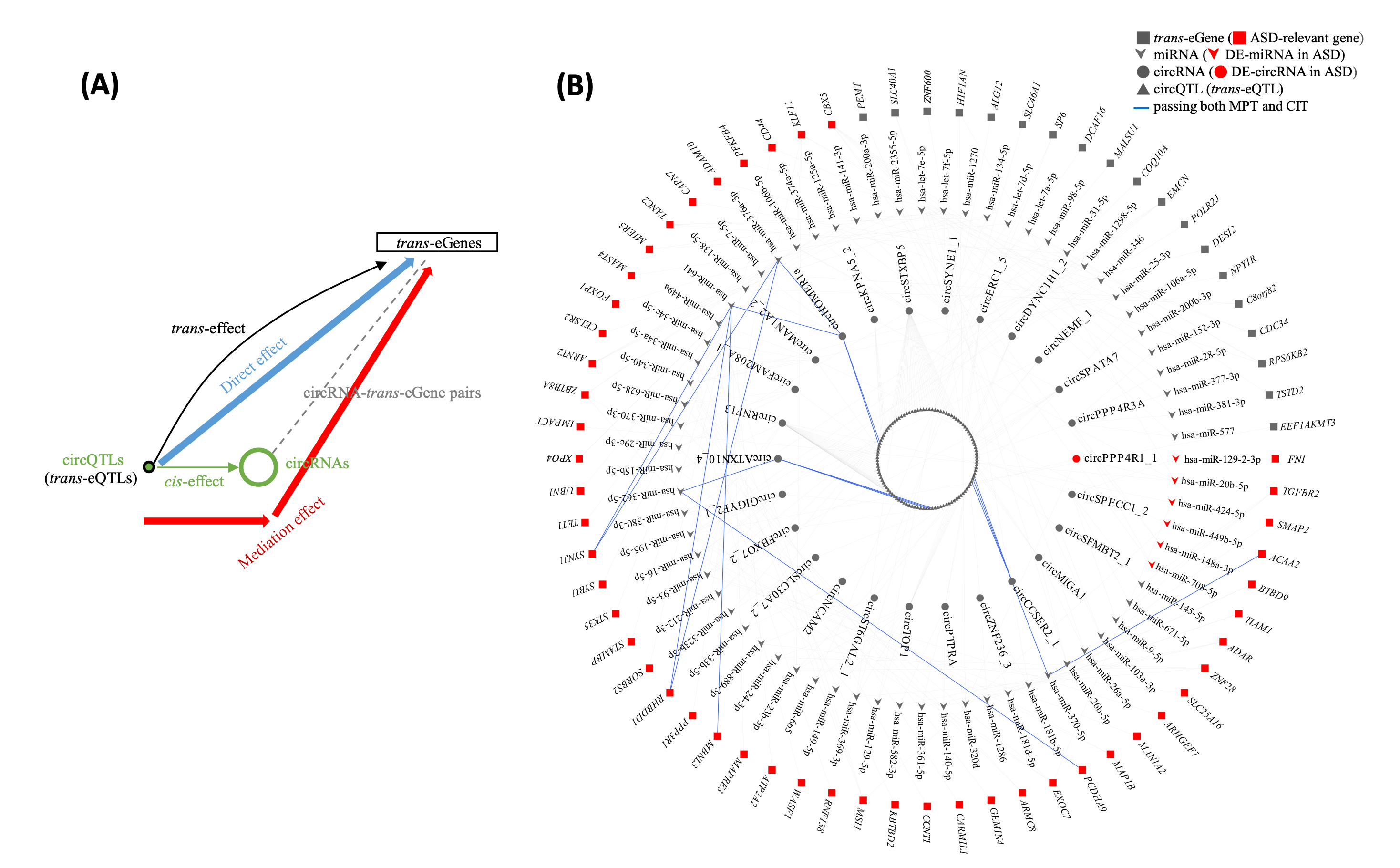 2022ASD F1 CH 2022ASD F1 CH